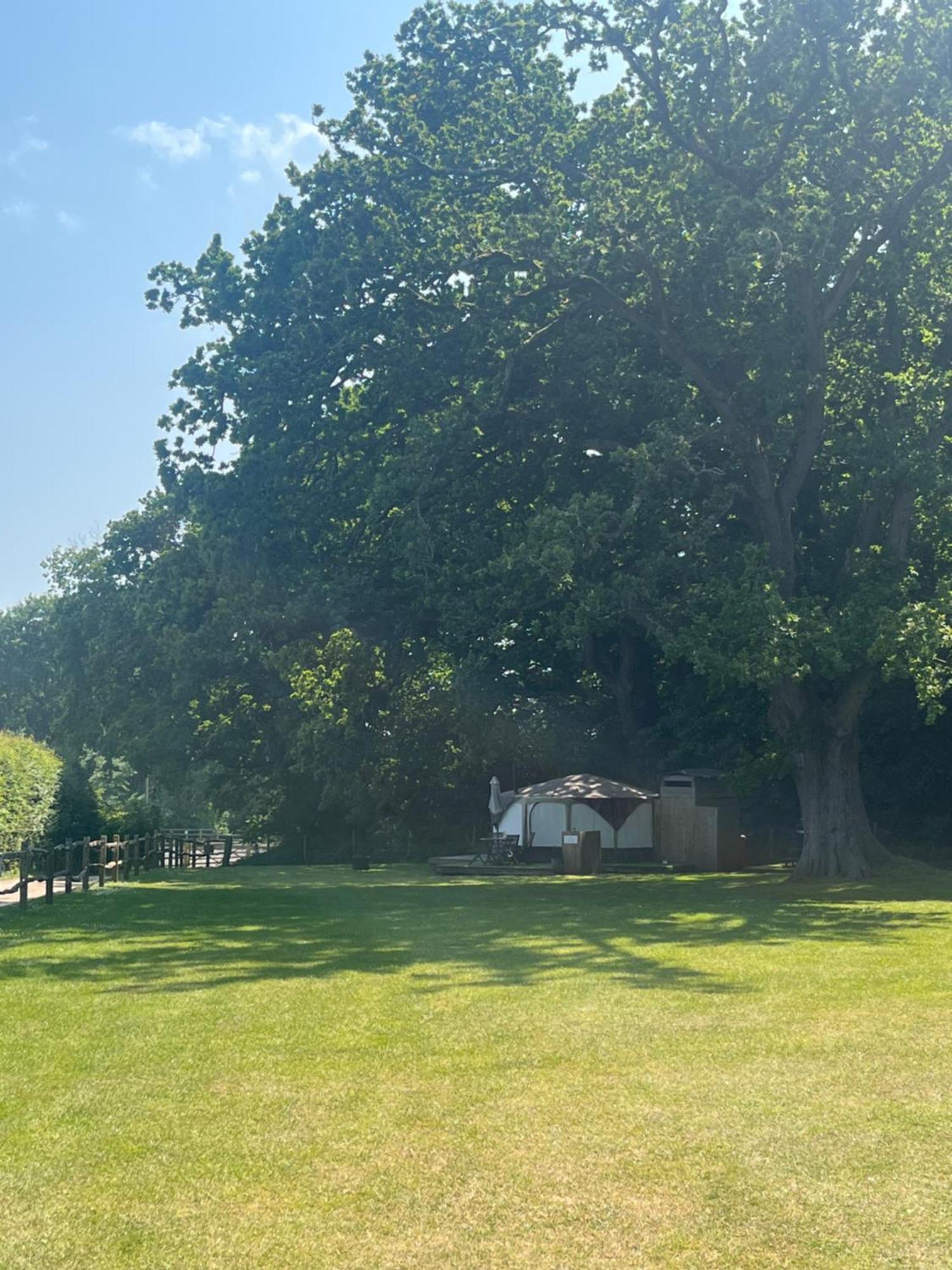 Old Dairy Farm Glamping Hotell Emsworth Eksteriør bilde